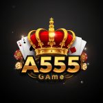 A555 Game