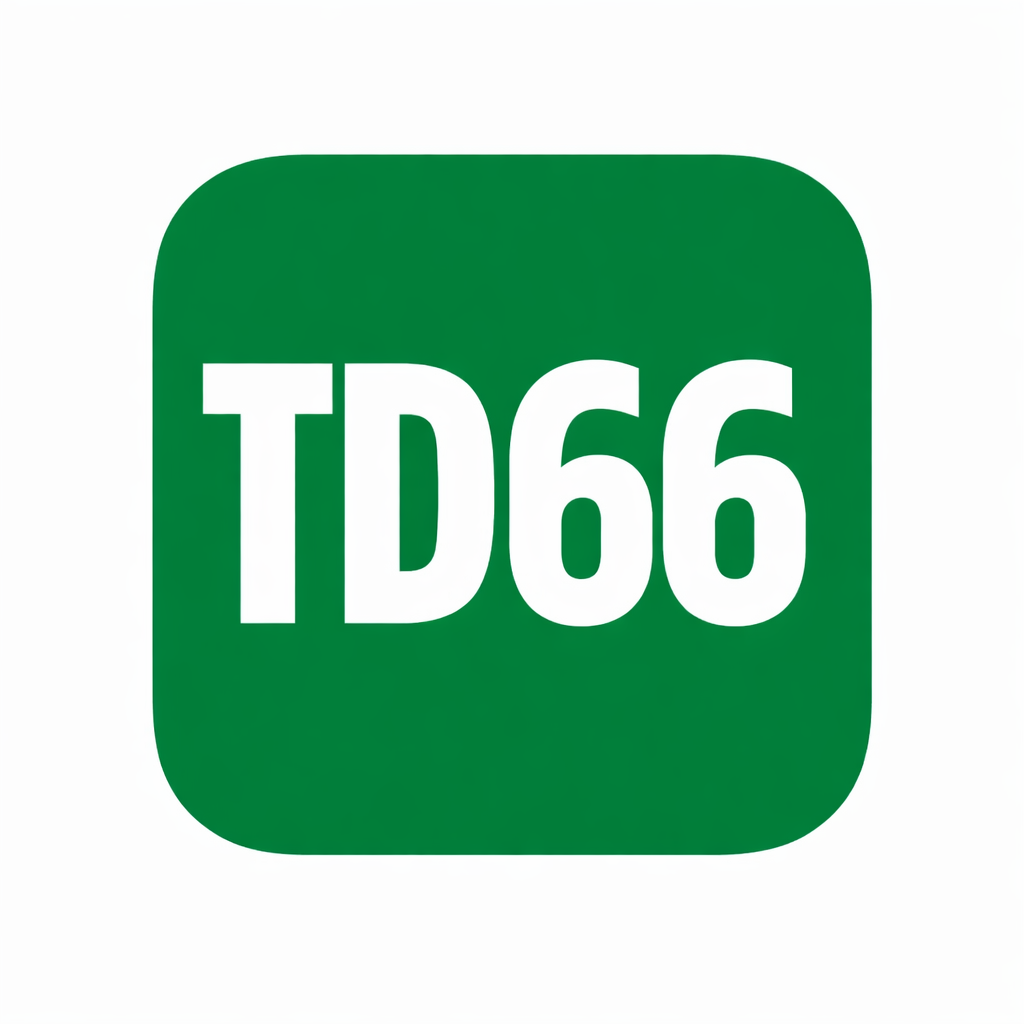 TD66 Game