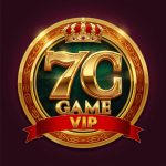 7C Game