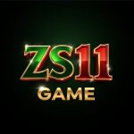 ZS11 Game