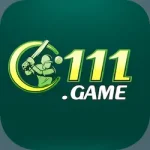 C111 Game